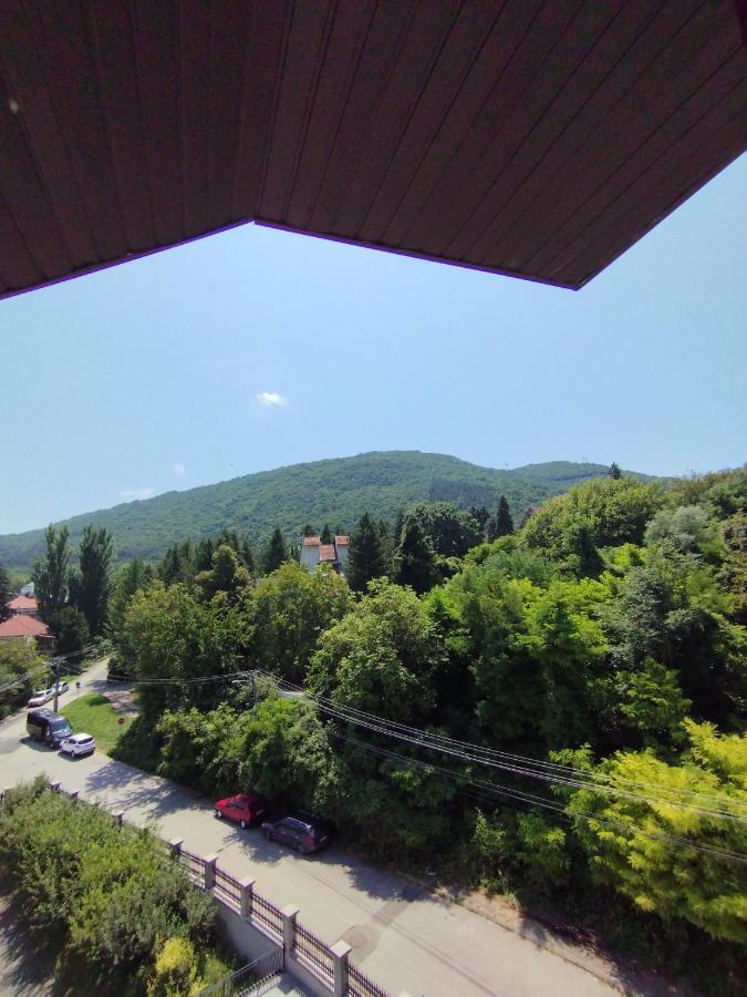 Vila Marko Niska Banja Esterno foto