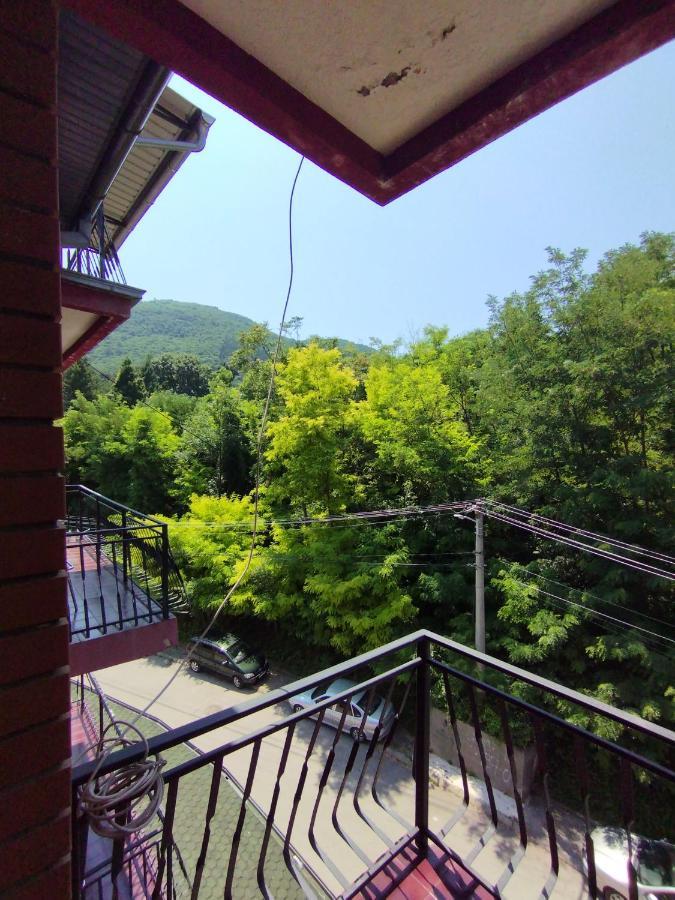 Vila Marko Niska Banja Esterno foto