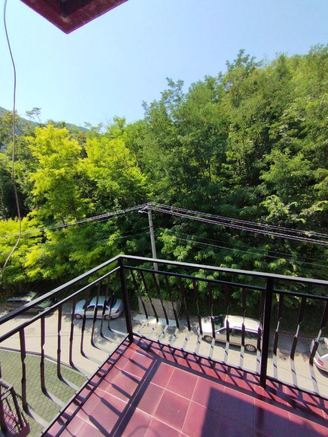 Vila Marko Niska Banja Esterno foto